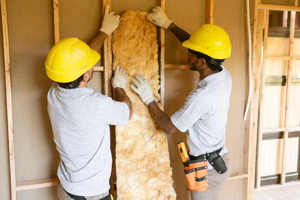 Best Insulation Air Sealing  in Deerfield, MI